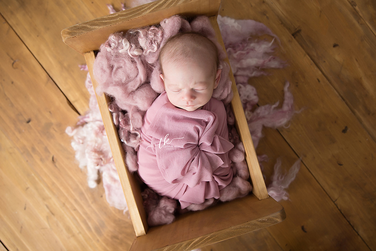 Scarlett Tamworth Newborn Photographer