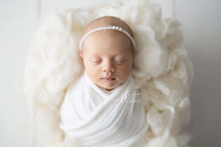 Tamworth Newborn Photographer