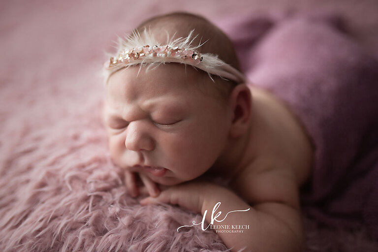 Tamworth Newborn Photographer