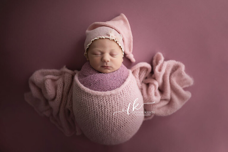 Evelyn Tamworth Newborn Photographer