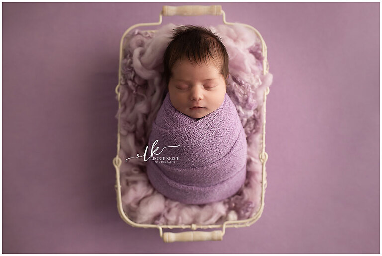 Armidale Newborn Photographer